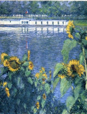Sonnenblumen auf dem Ufer der Seine