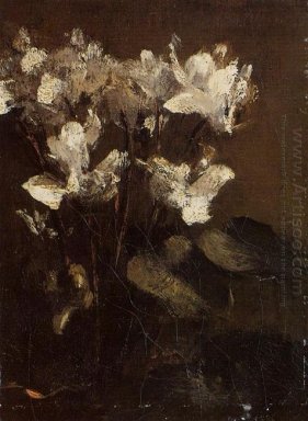 Flowers Cyclamens 1860