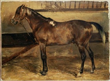 Brown Horse in platea
