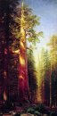 les grands arbres Mariposa Grove Californie 1876