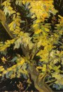 Blommande Acacia grenar 1890