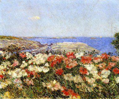 Poppies On The Isles Of Shoals 1890