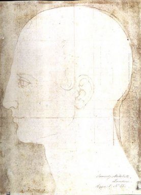 människans huvud i profil