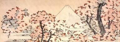 Monte Fuji vistos através da flor de cerejeira