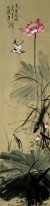 Lotus&Bird - Chinese Painting