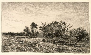 Árvores da Apple em Auvers 1877