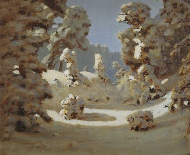 soleil d\'hiver sur le givre