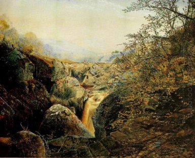 Colwith Force 1869