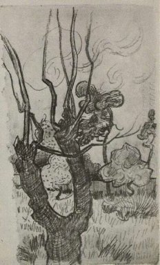 Голые в кронах деревьев в саду из убежища 1889
