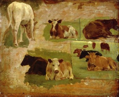Estudio de vacas