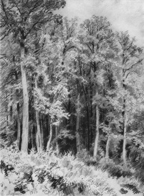 Bäume Kozlovka Zaseka 1873