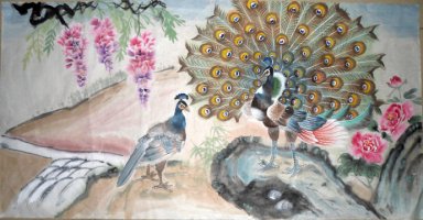 Peacock - Pintura Chinesa