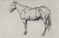 Paard 1884