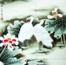 Crane & Lotus - pintura china