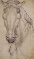 Studio della testa di un cavallo