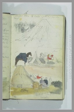 Camp études arabes