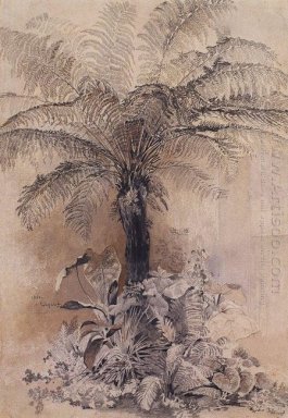 plantas tropicais 1854