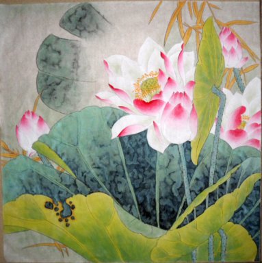 Lotus - pintura china