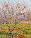 Alberi in fiore