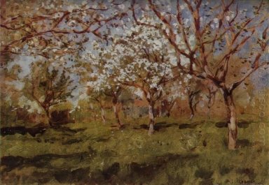 Apfelbäume in der Blüte 1896 1