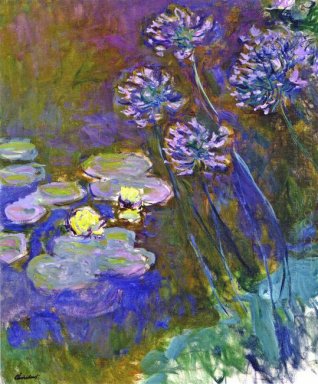 Lirios de agua y Agapanthus 1917