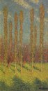 Poplars in Spring