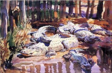 Alligators Muddy 1917