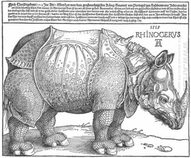 rhinocéros 1515