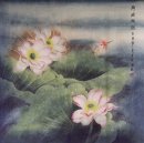 Lotus - Chinese Painting