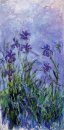 Iris Lilas 1917