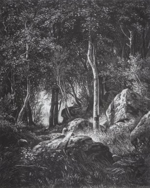 Vid kanten av en Birch Grove Valaam 1860 1