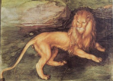 Lion 1494