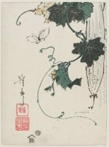 Papillon et squash