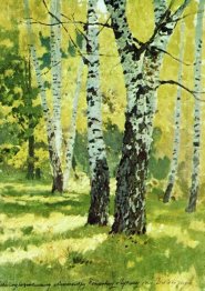 Birch Grove 1878
