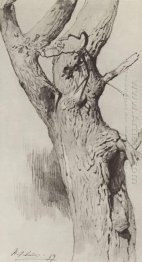O tronco de uma árvore velha 1883