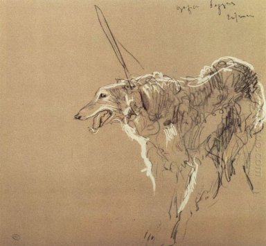 Greyhound königlichen Jagd 1902