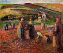 la récolte de pommes de terre 1893