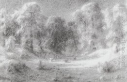 Hutan Rawa