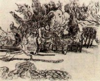 Alberi di pino vicino alla parete di The Asylum 1889