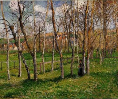 Weide op bazincourt 1895