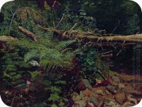 Paysage 1896 1