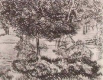 Arbres et arbustes 1889