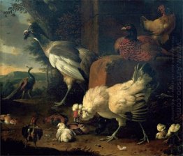 Domestic fowl with a pheasant and peacocks