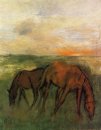 Dua Kuda Di Padang Rumput