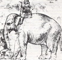 Hanno O Papa Leo X S Elephant 1516