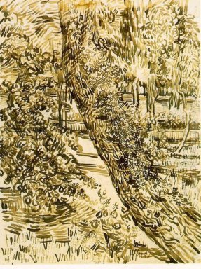 Árvore Com Ivy Garden In The Asylum 1889