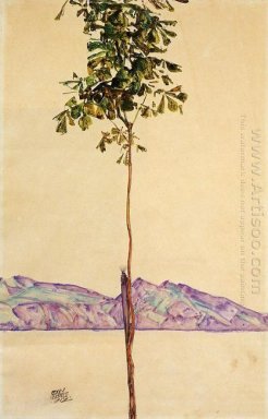Little tree kastanjeboom aan de bodensee 1912