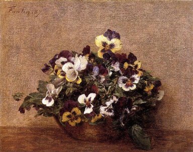 Pansy 1887