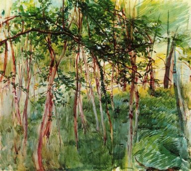 Árboles en el Bois de Boulogne