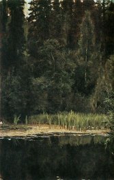 Kolam Pada Akhtyrka 1880